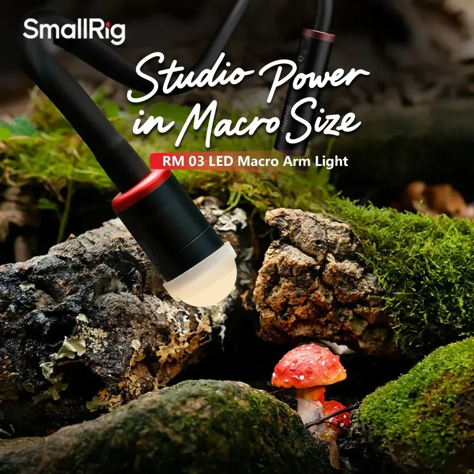 For Smallrig RM-03 3W LED Macr - Photography Lighting Angles review and price