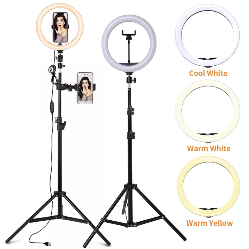 6/10/12 Inch LED Selfie Ring L - Photography Lighting Set Up review and price