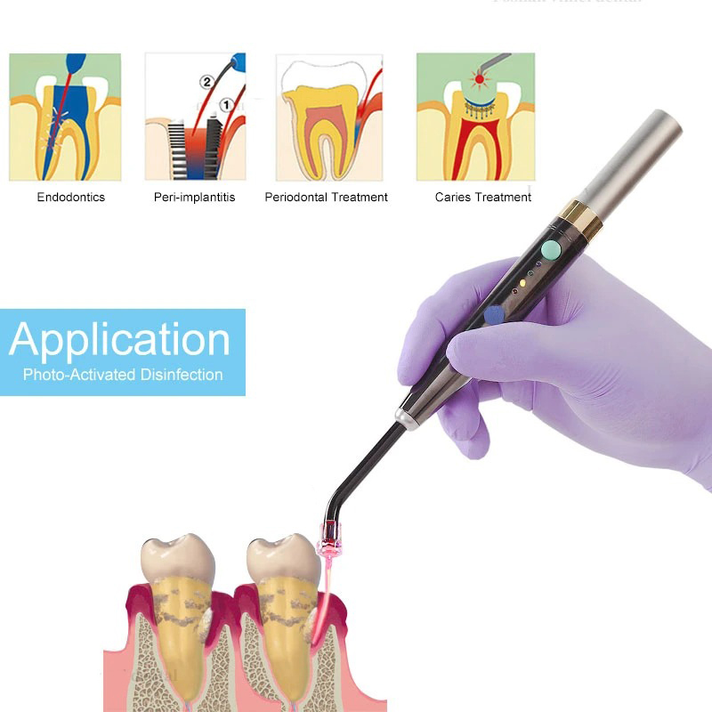Wireless F3WW Dental Diode Las - Photography Lighting Studio review and price