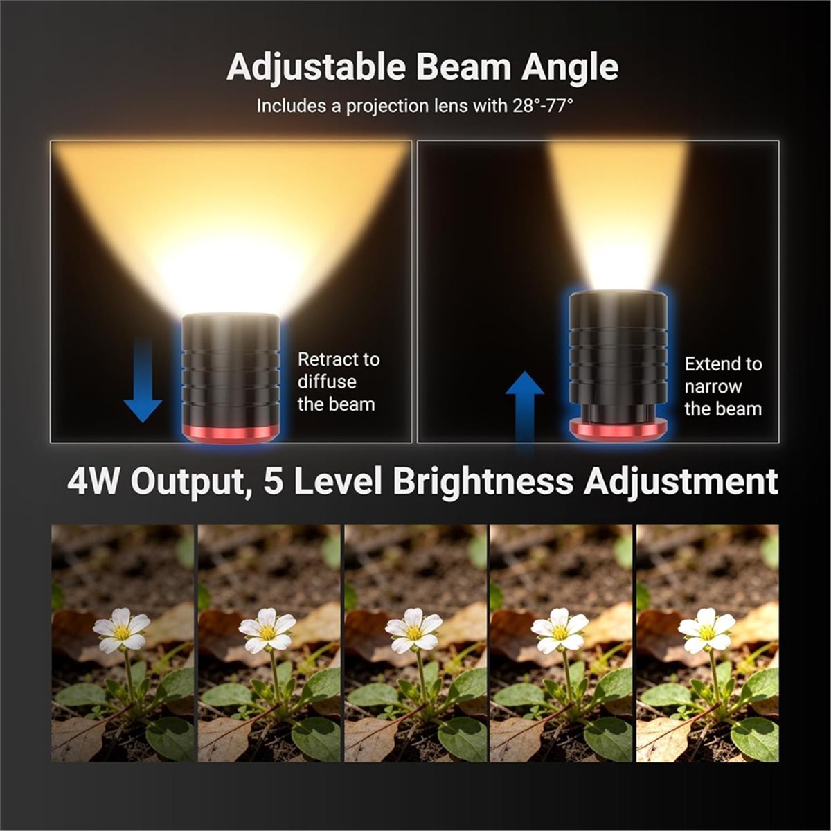 M05K LED Light for Macro Photo - Photography Lighting Angles review and price